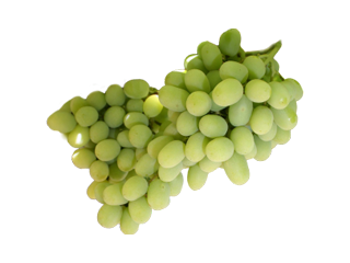 fruits image