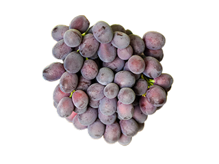 fruits image