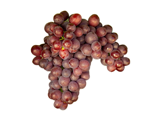 fruits image