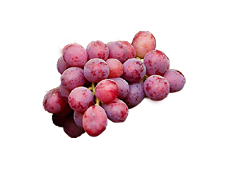 fruits image