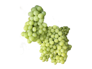 fruits image