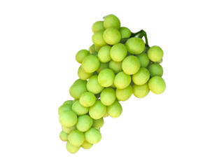 fruits image