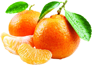 fruits image