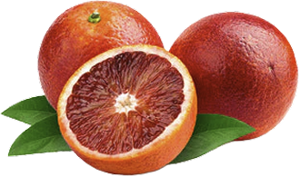 fruits image
