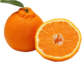fruits image