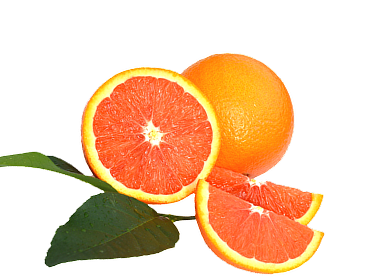 fruits image